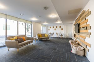 Gallery image 6