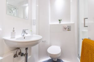 Gallery image 10