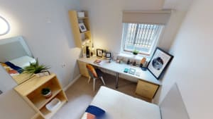 Gallery image 5