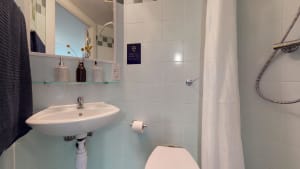 Gallery image 5