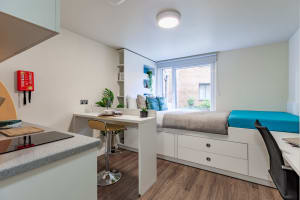 Gallery image 3