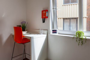 Gallery image 12