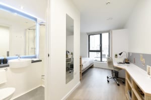 Gallery image 4