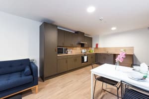 Gallery image 4