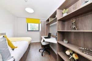 Gallery image 1