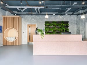 Gallery image 11