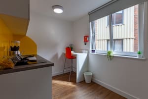 Gallery image 9