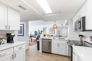 Gallery image 11