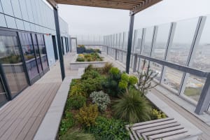 Gallery image 9