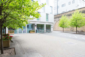 Gallery image 13