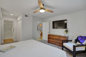 Gallery image 7
