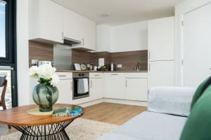 Gallery image 4