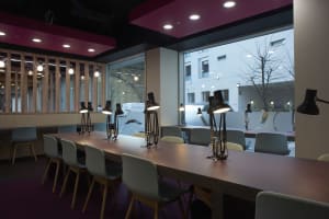 Gallery image 7