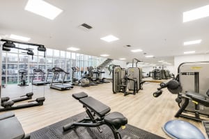 Gallery image 15