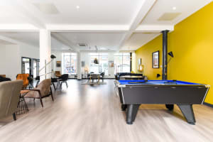 Gallery image 7