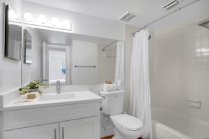 Gallery image 15