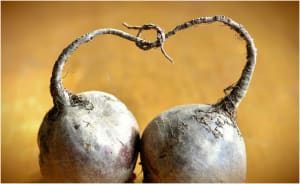 beets and thyroid