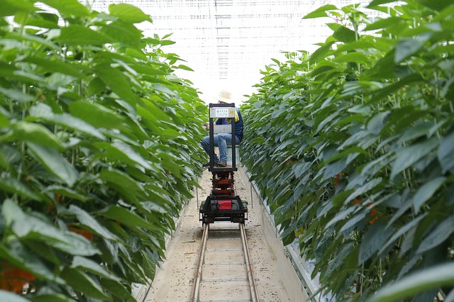 smart farming cart on track collecting data - what is the internet of things