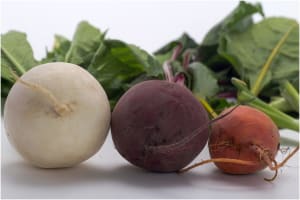 beets