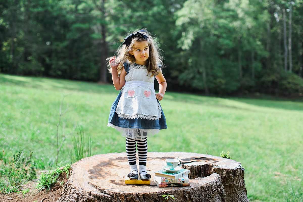 alice in wonderland costume