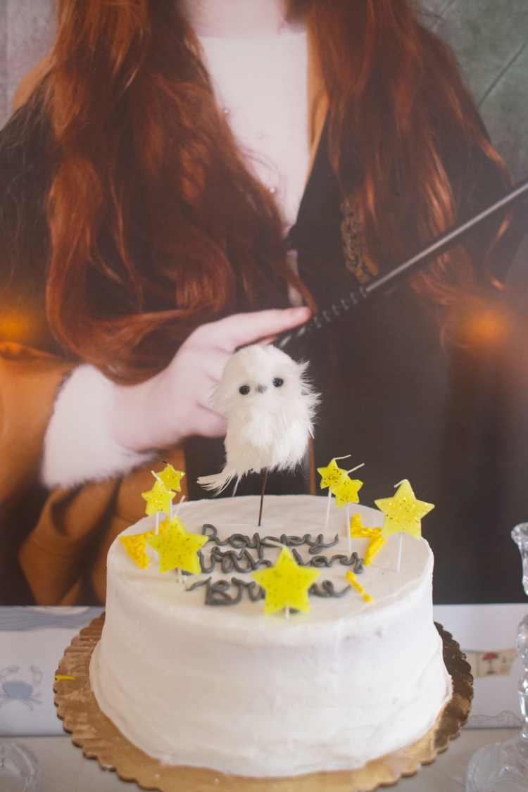 How to Throw a Quick and Easy Harry Potter Birthday Party - One