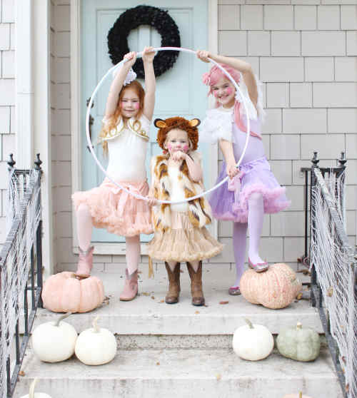 Easy Circus Costumes for Halloween - Lion Tamer, Lion, and Trapeze Artist