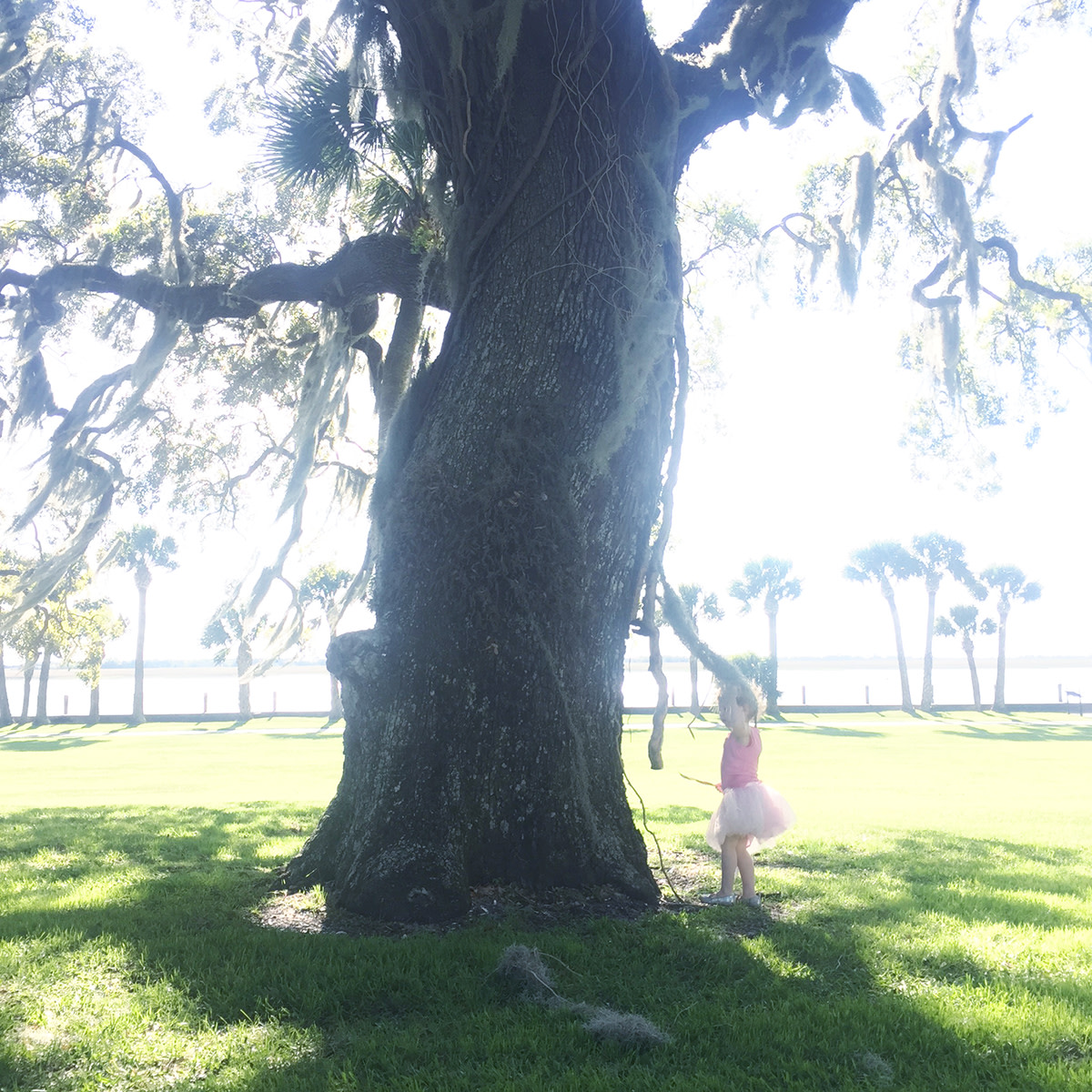 family vacation jekyll island family vacation jekyll island