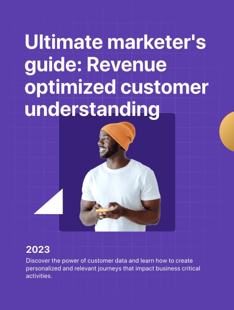 Ultimate marketer's guide: Revenue optimized customer understanding