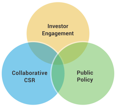 CSL areas of work