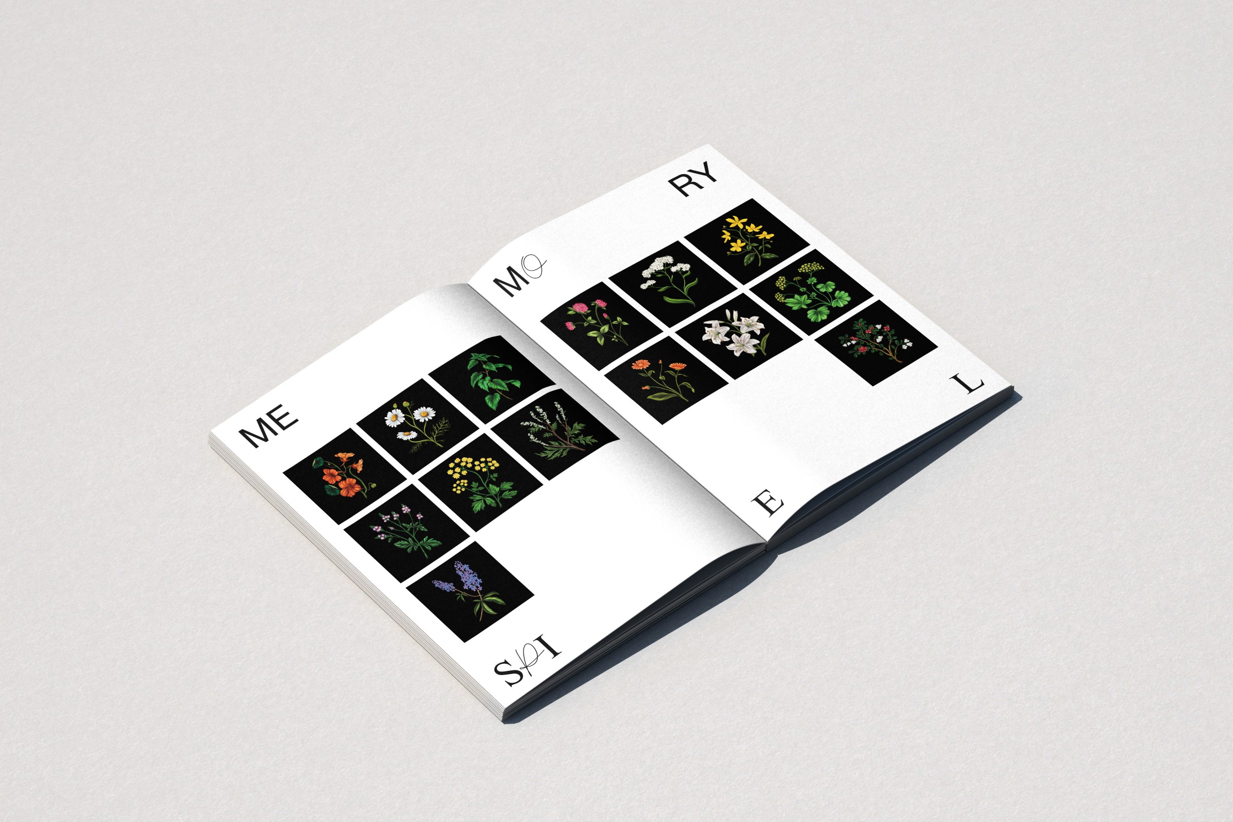 Buch & Memory: Heilkräuter für Frauen