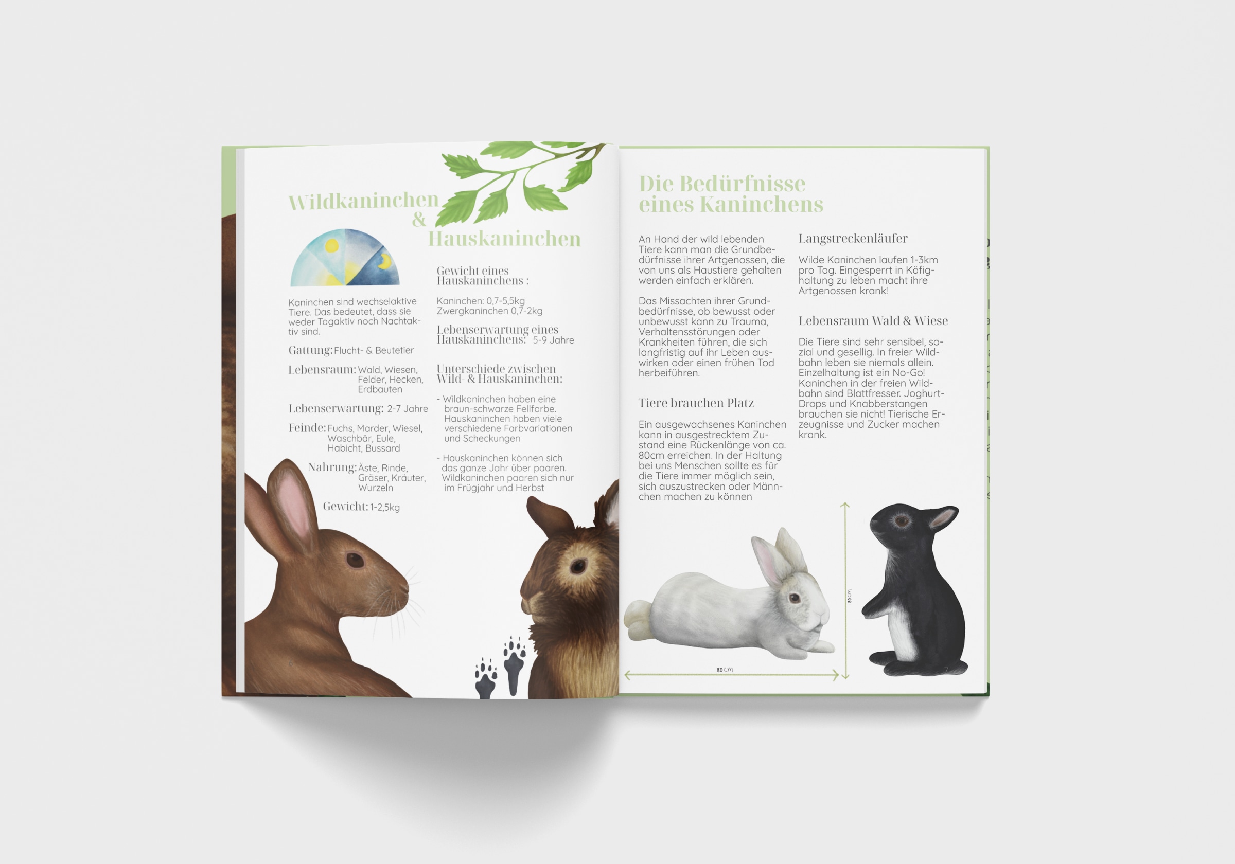 Kaninchen – kleine Tiere mit großen Bedürfnissen