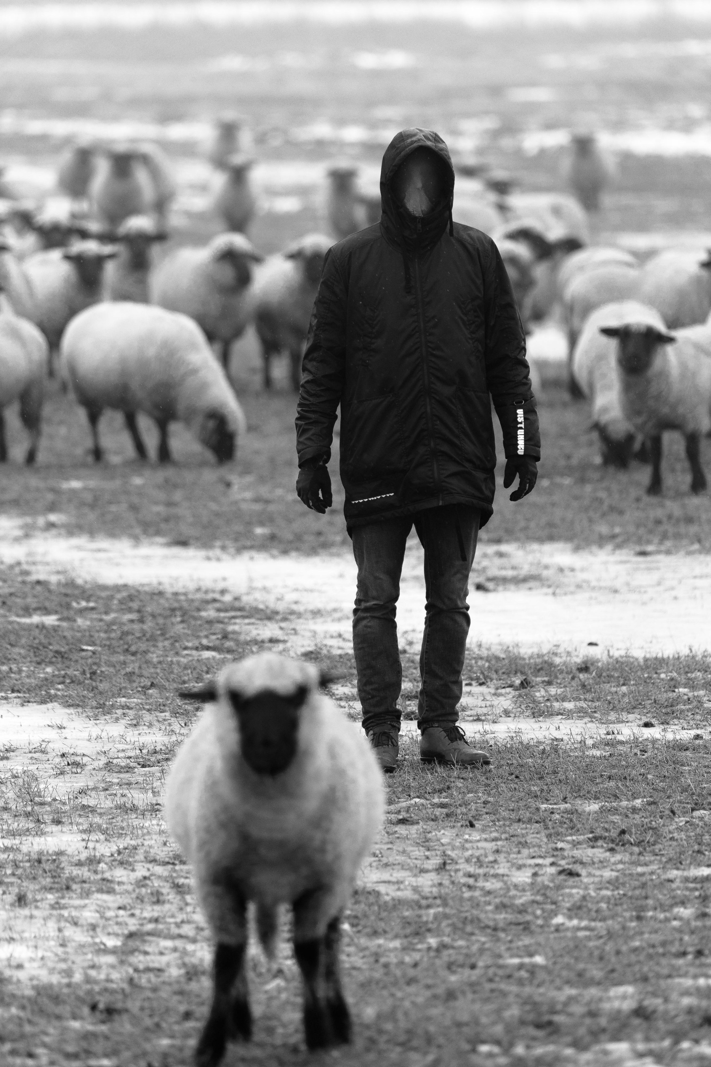 The Unknown Identity