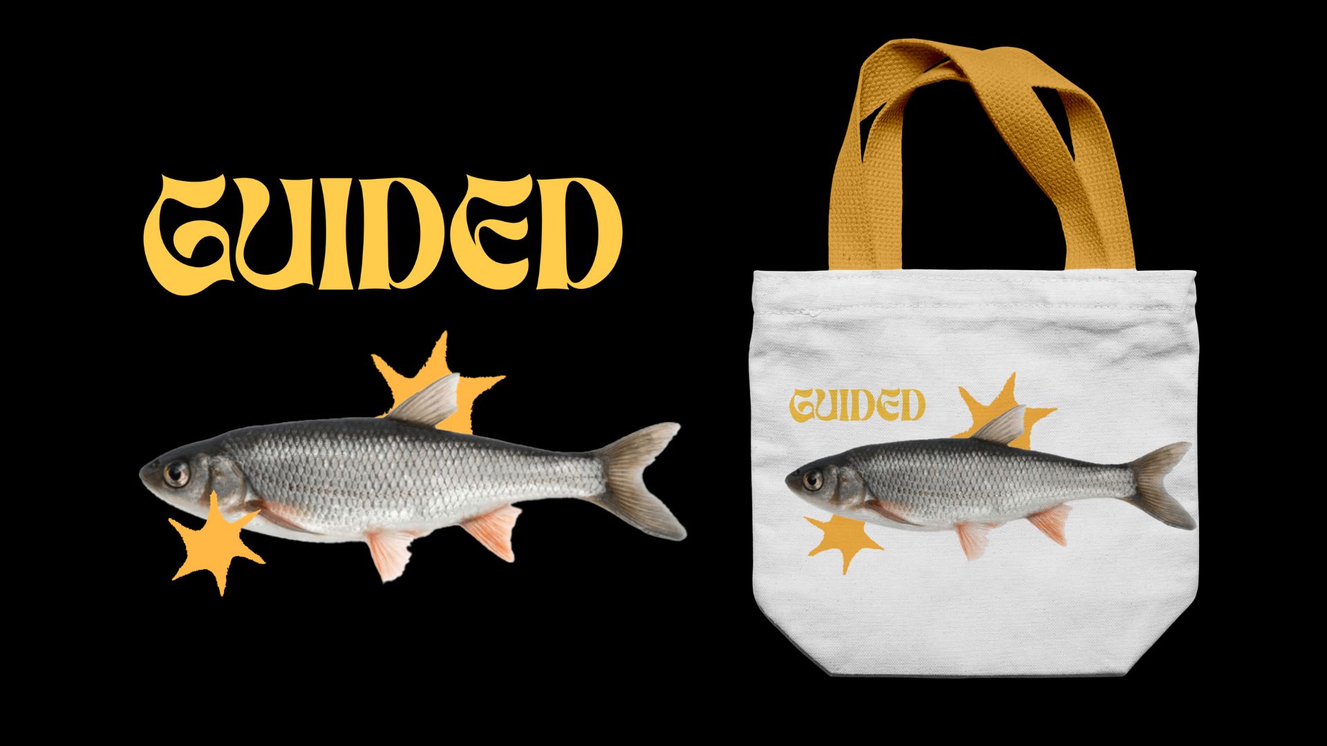 GUIDED ( Magazine)
