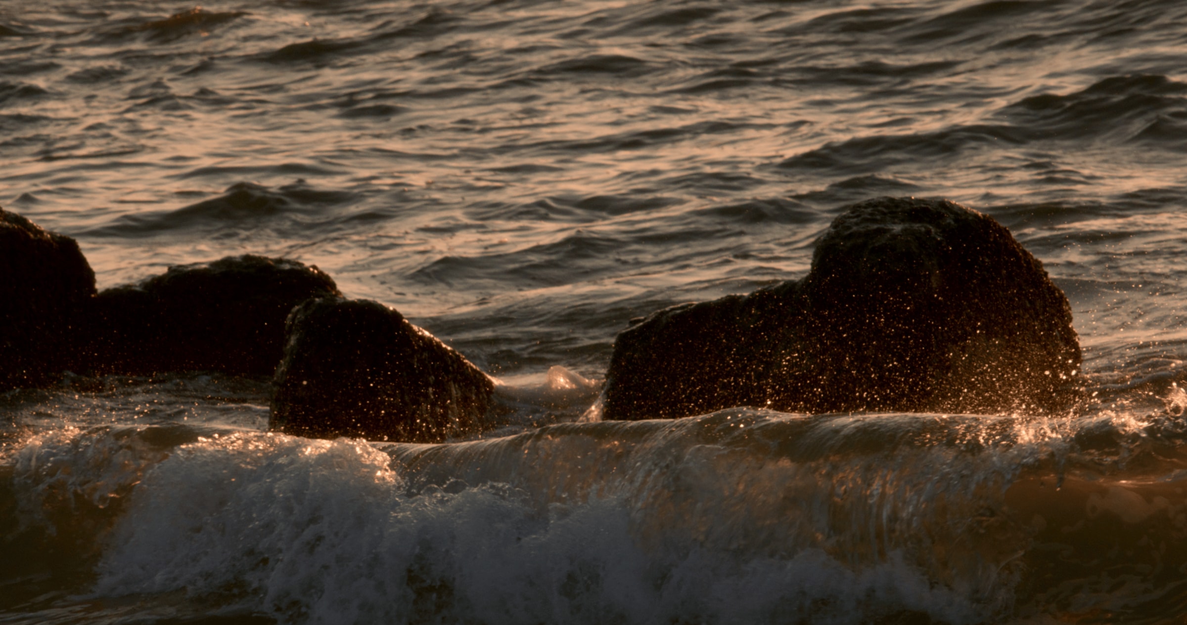 Flow | Surf Kurzfilm