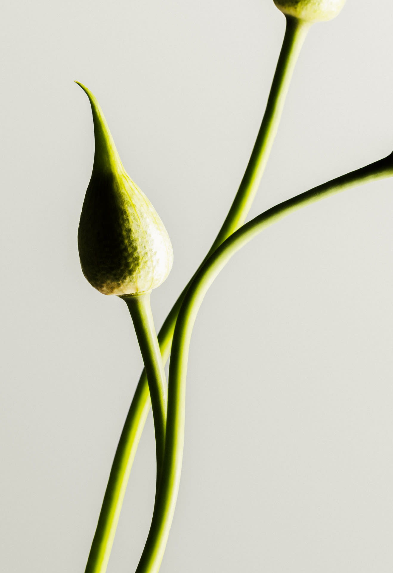 Becoming