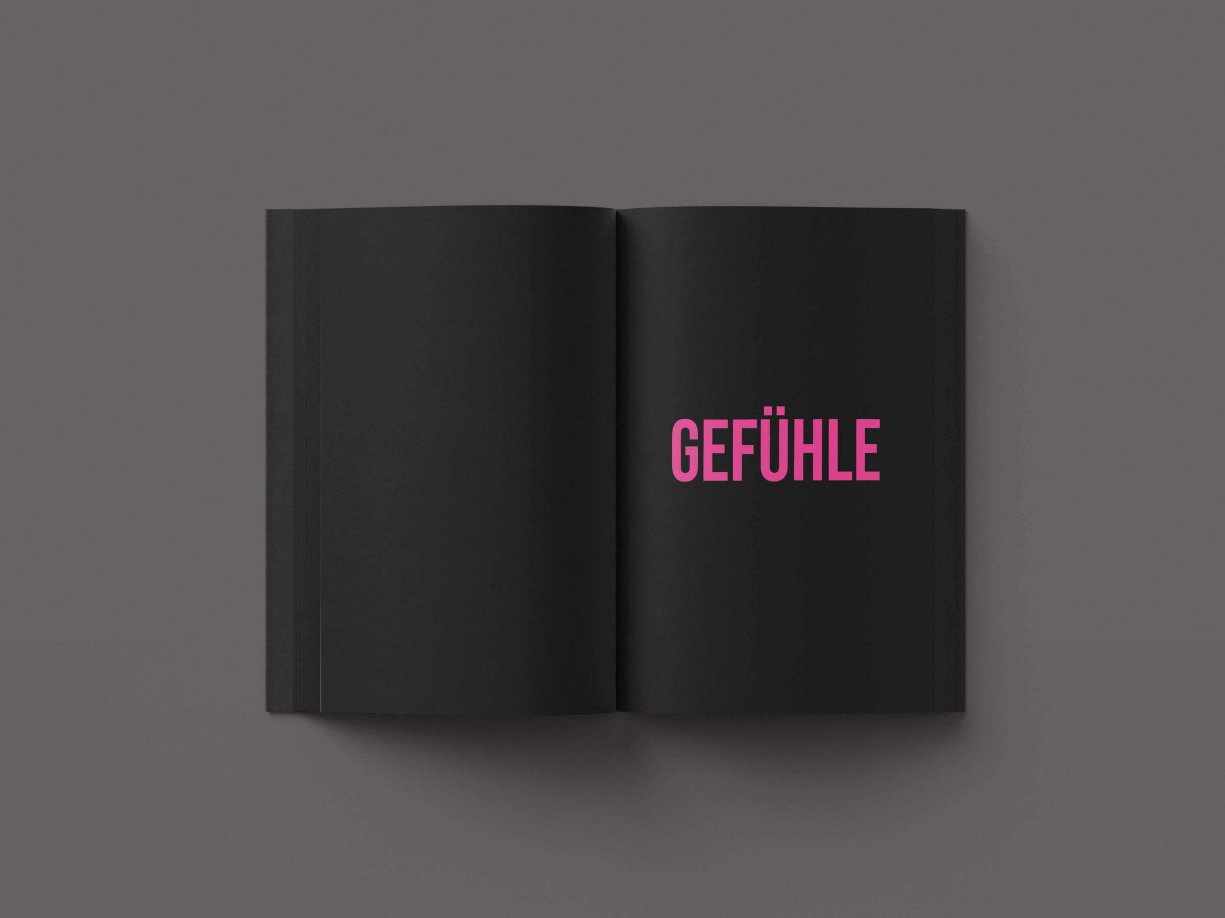 Das Politische Wörterbuch