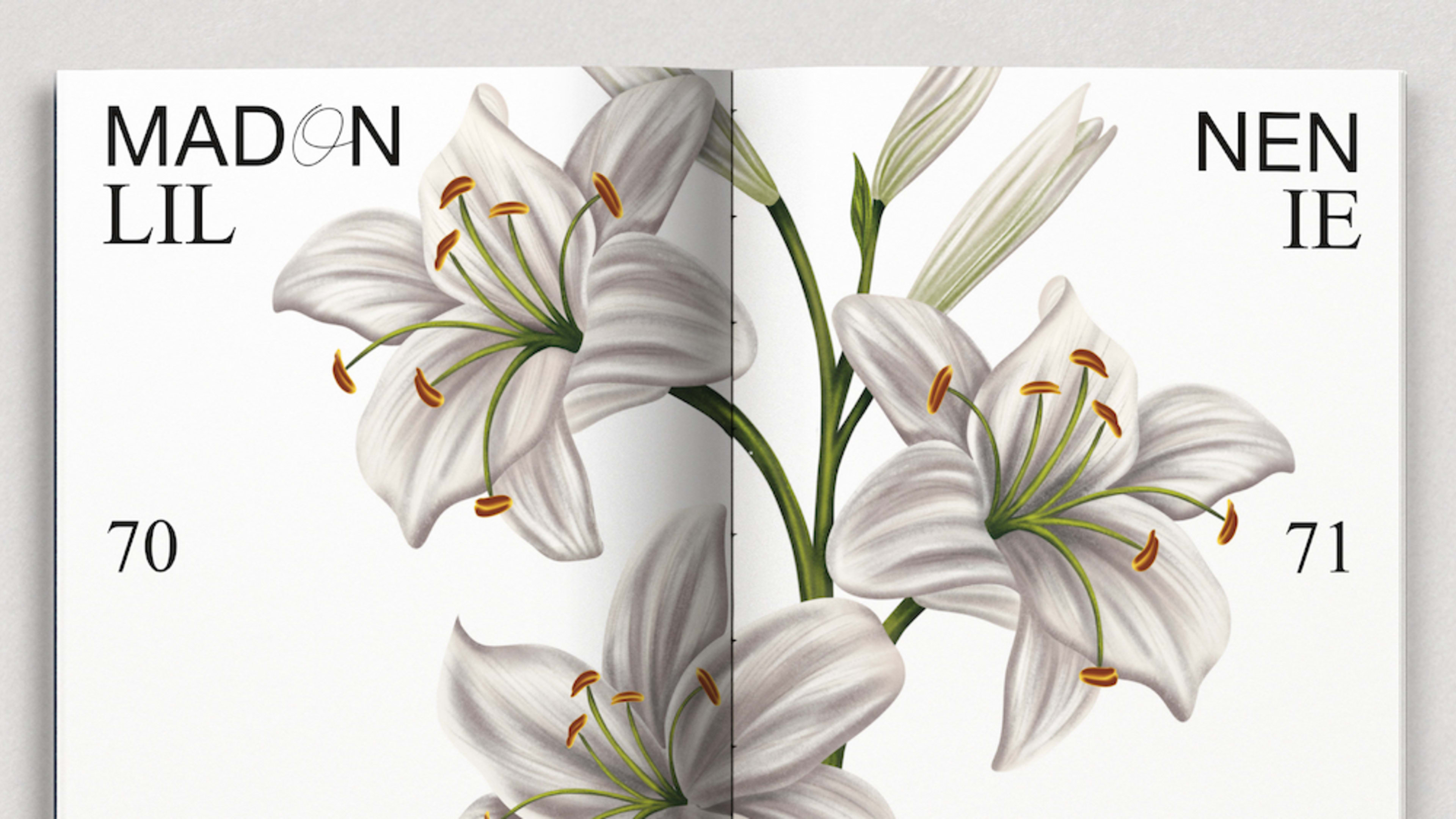 Buch & Memory: Heilkräuter für Frauen