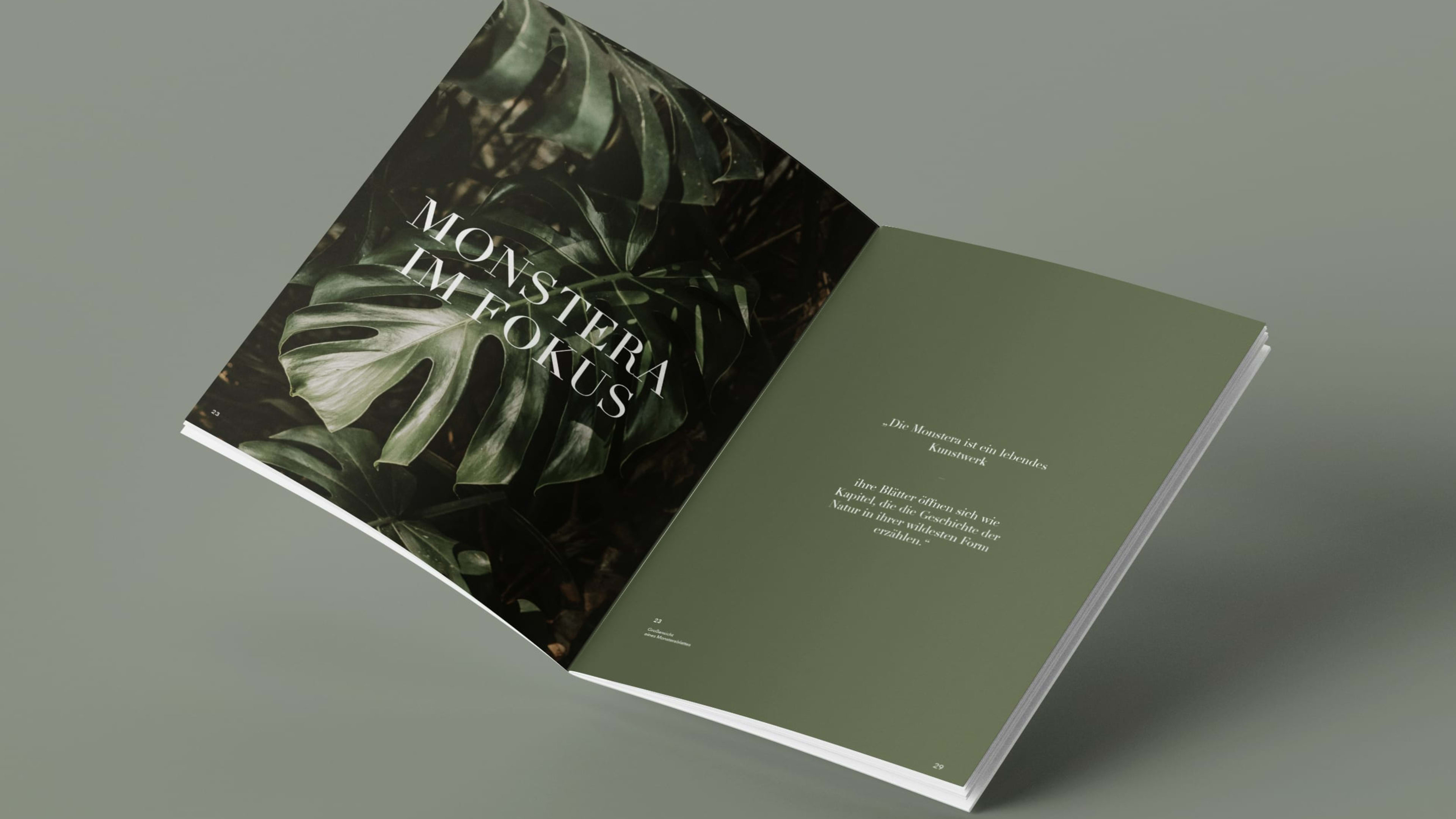 BLATTWERK - Das Pflanzenmagazin