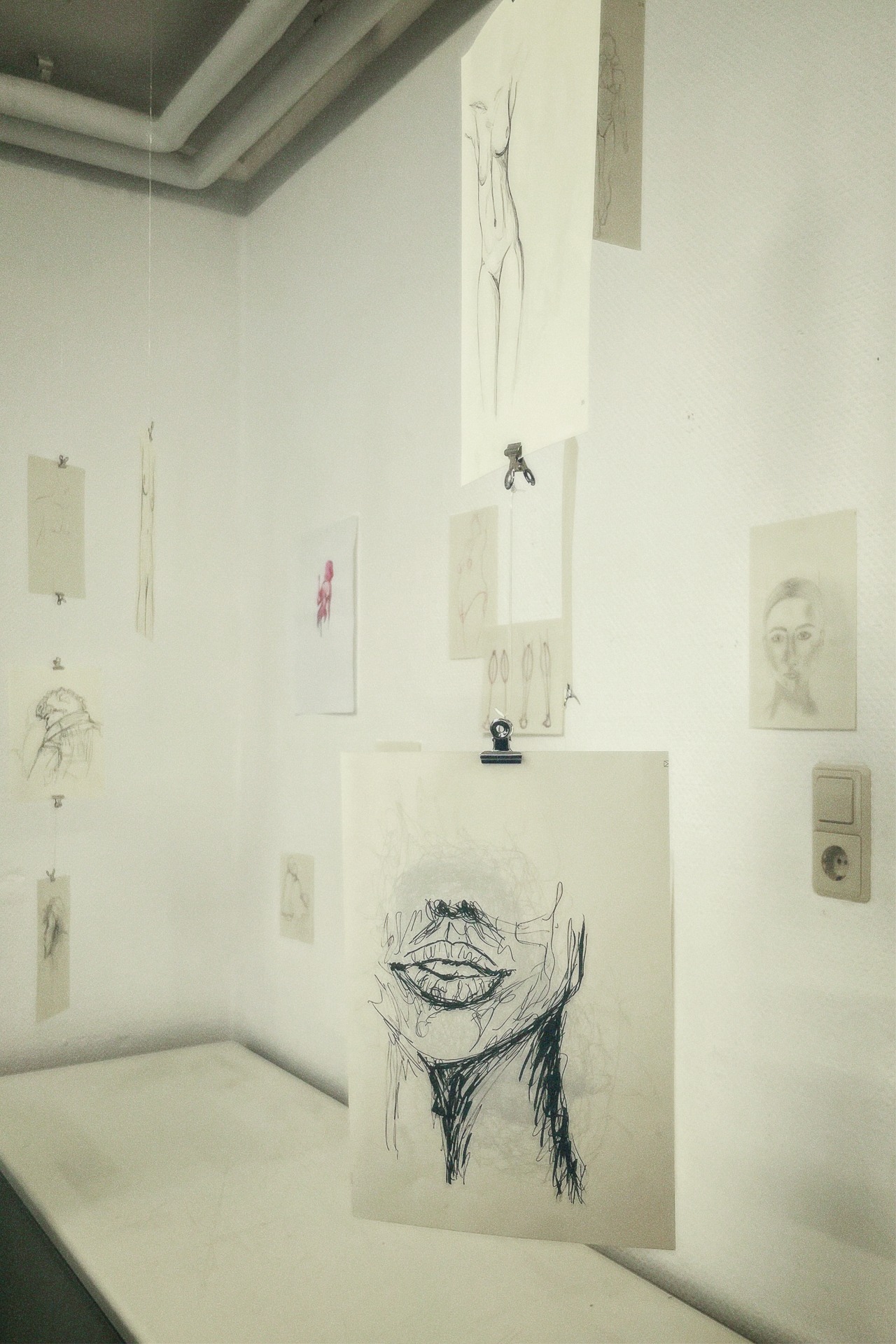 "THE BEAUTY OF HUMANITY"