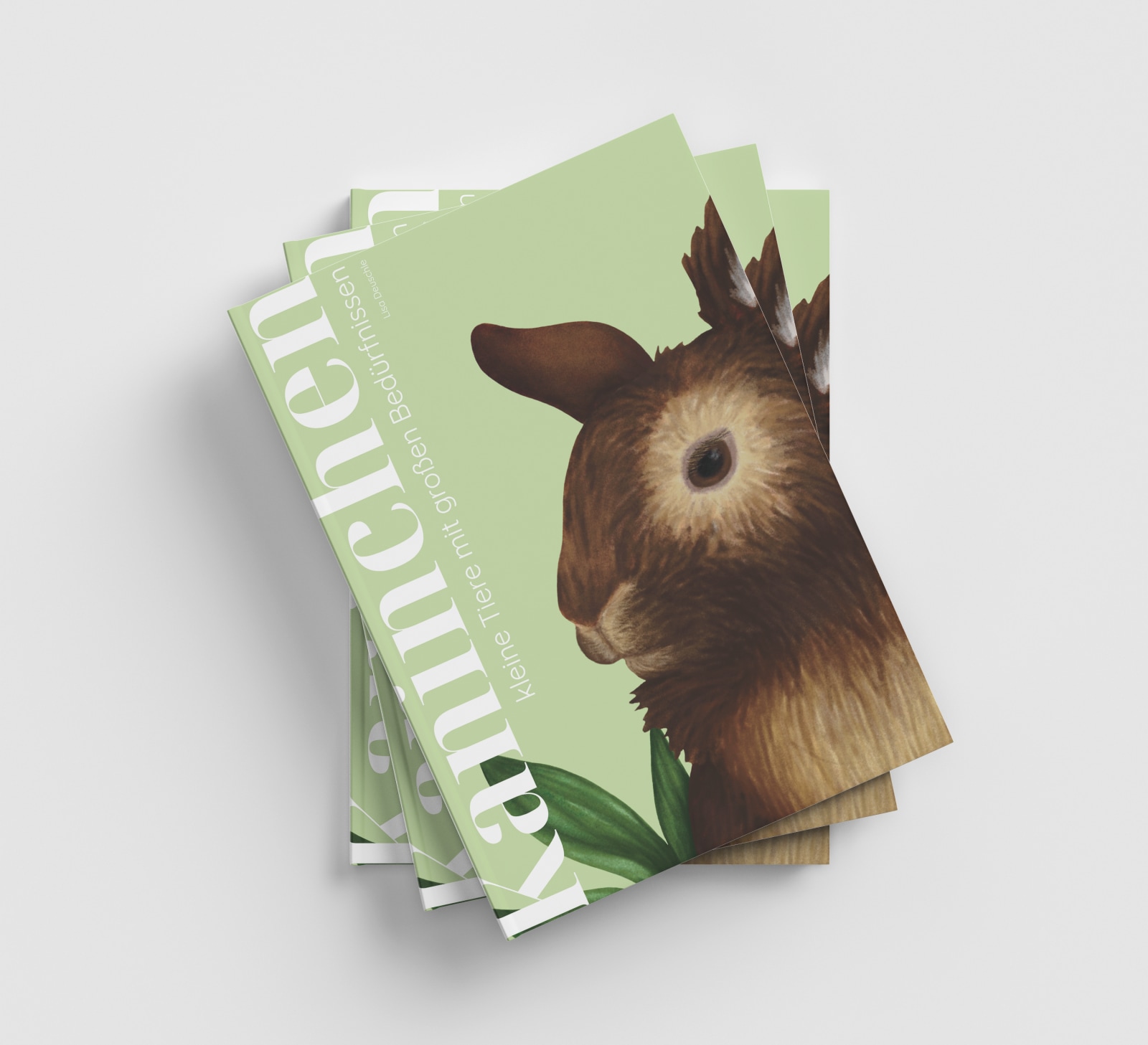 Kaninchen – kleine Tiere mit großen Bedürfnissen