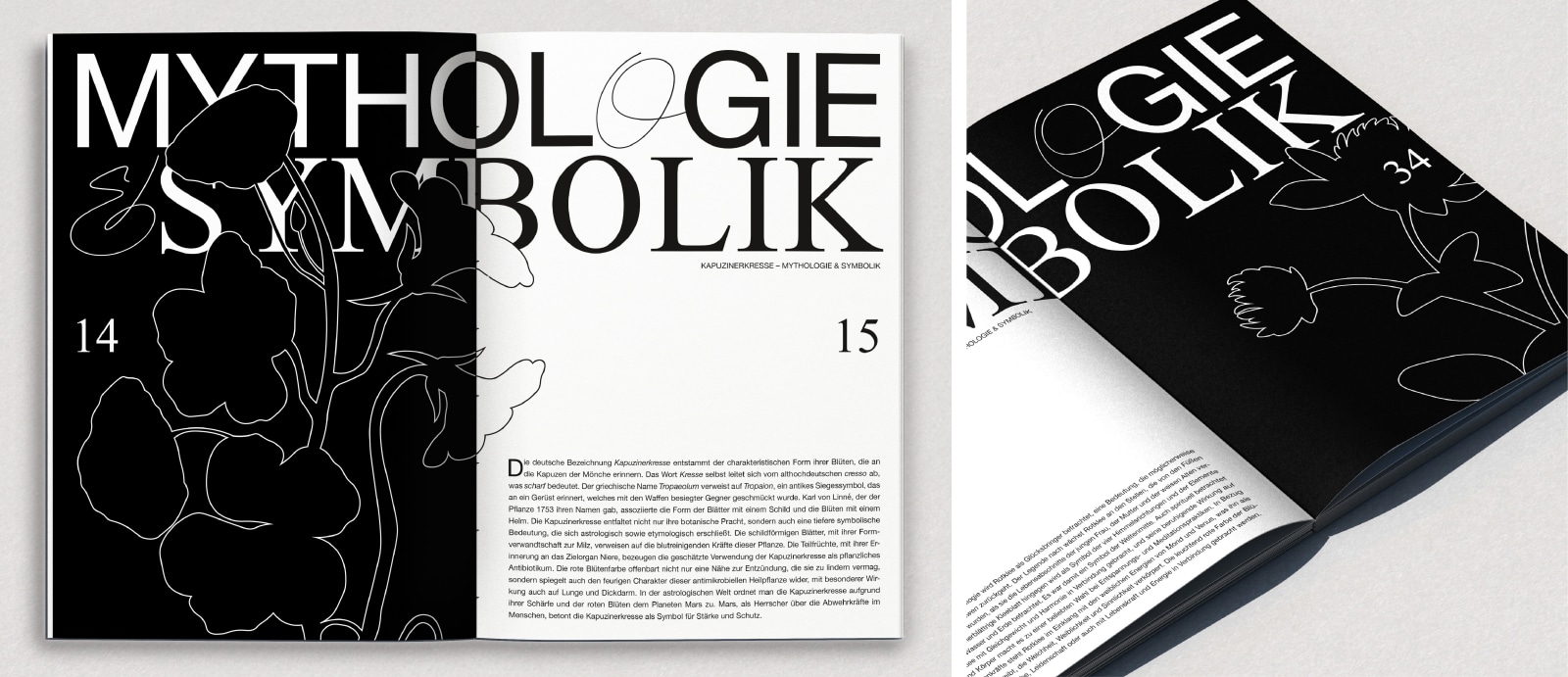 Buch & Memory: Heilkräuter für Frauen