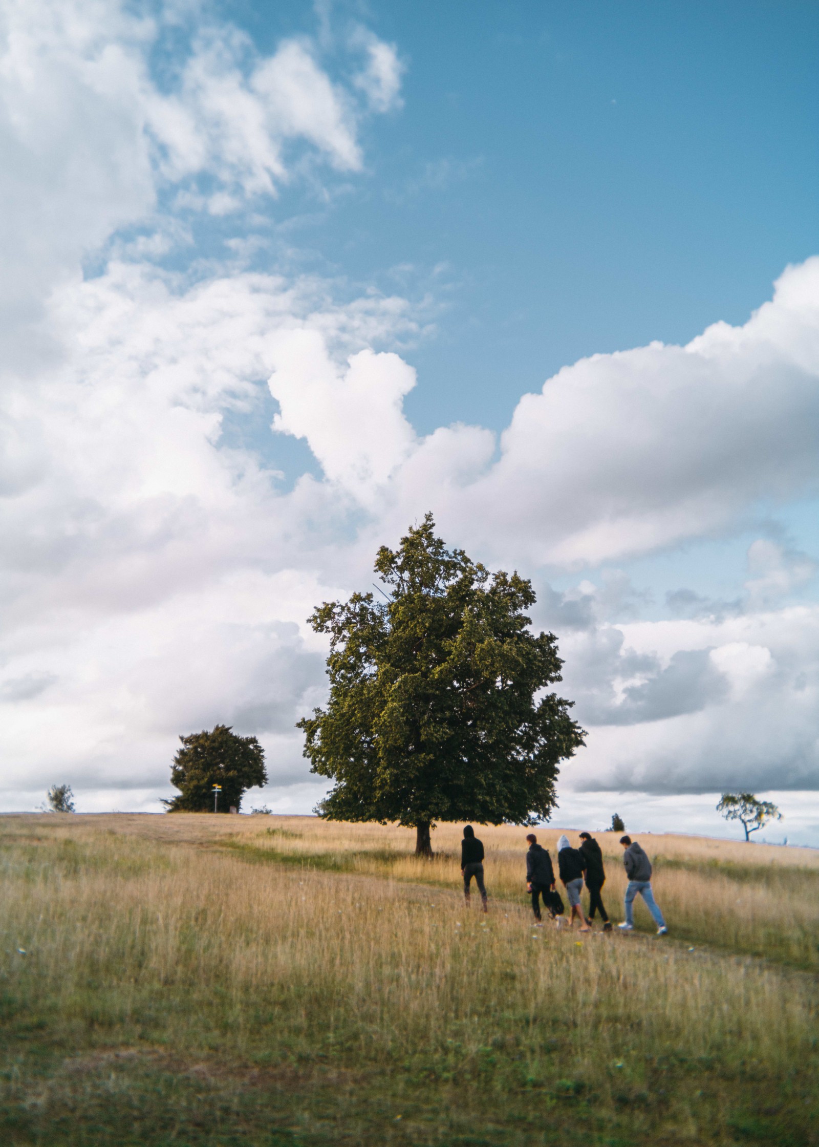 Workshop: Natur-, Sternenfotografie, Lightbrush und Lightpaint am Breitenstein.
