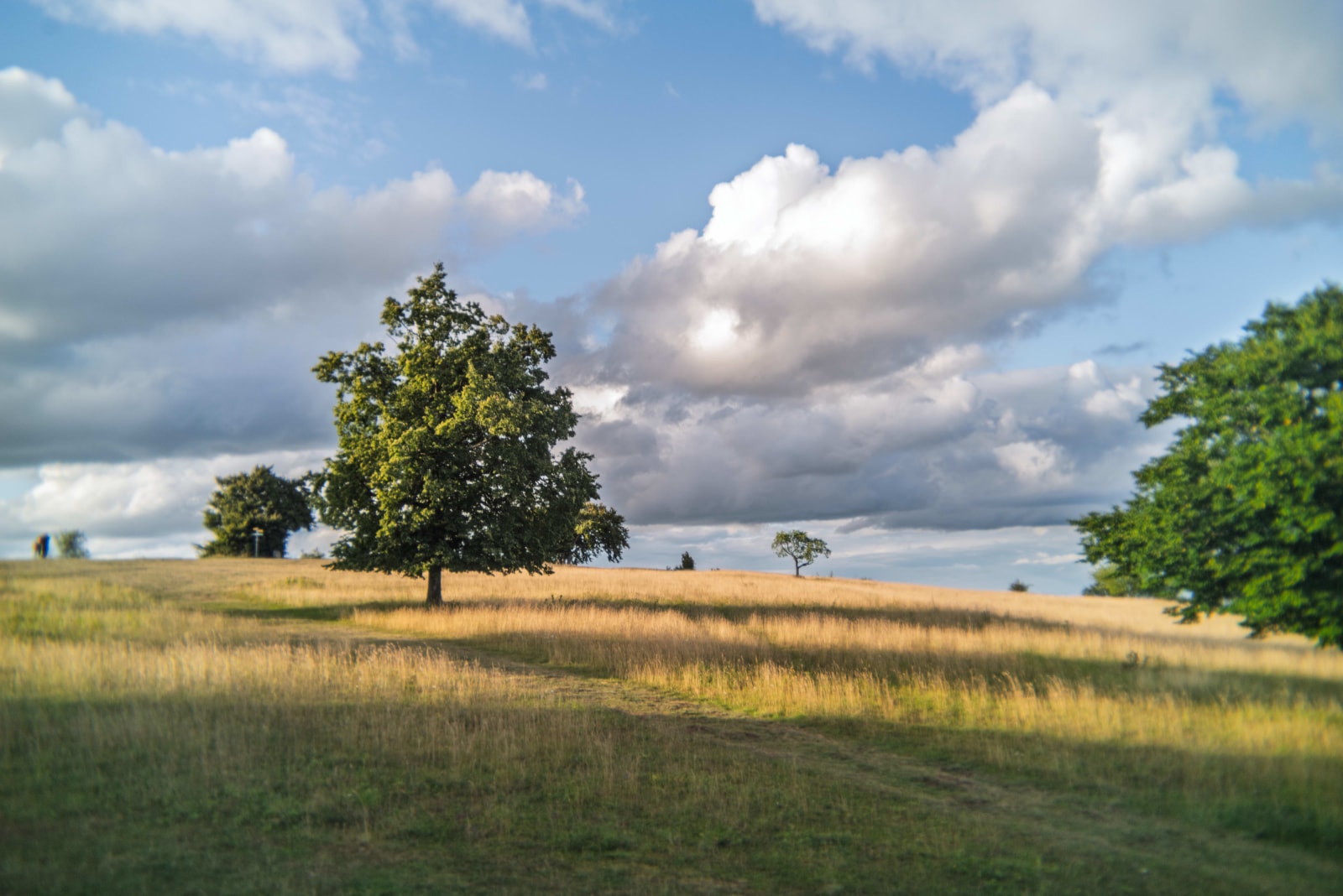 Workshop: Natur-, Sternenfotografie, Lightbrush und Lightpaint am Breitenstein.