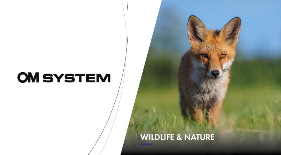 OM System Wildlife & Nature