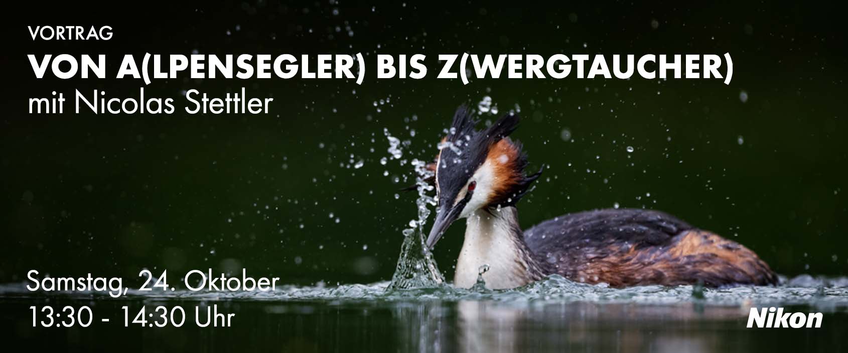 Vortrag Von A(lpensegler) bis Z(wergtaucher) mit Nicolas Stettler, Sa, 24.10. 13:30 bis 14:30 Uhr
