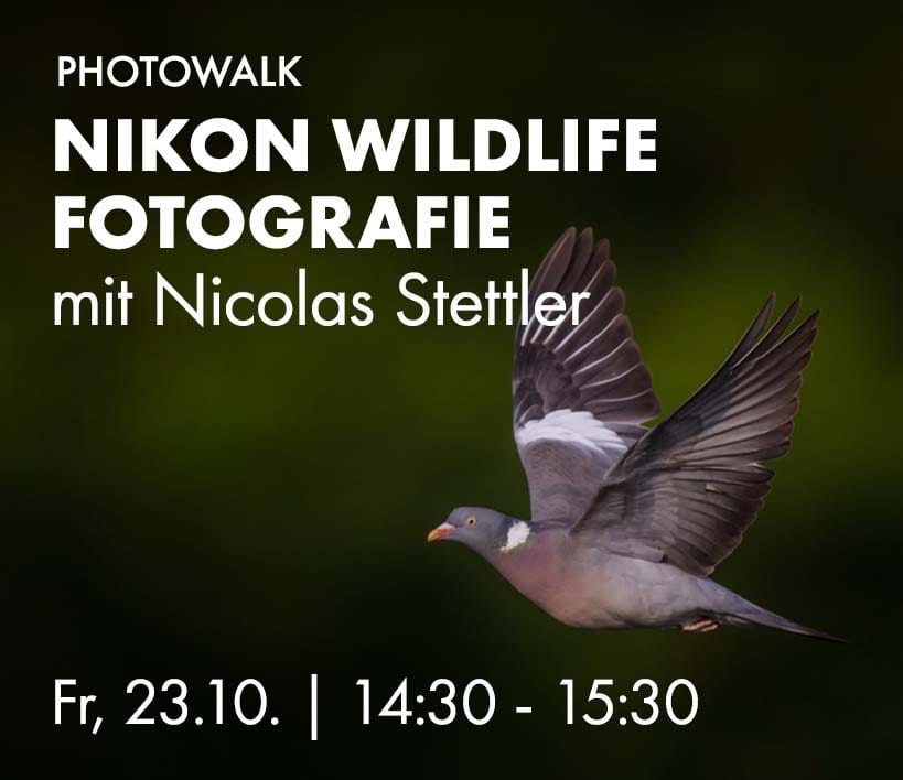 Nikon Wildlife Photowalk mit Nicolas Stettler, Fr, 23.10. 14:30 bis 15:30 Uhr