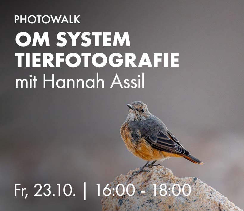 OM System Tierfotografie mit Hannah Assil, Fr, 23.10. 16:00 bis 18:00 Uhr