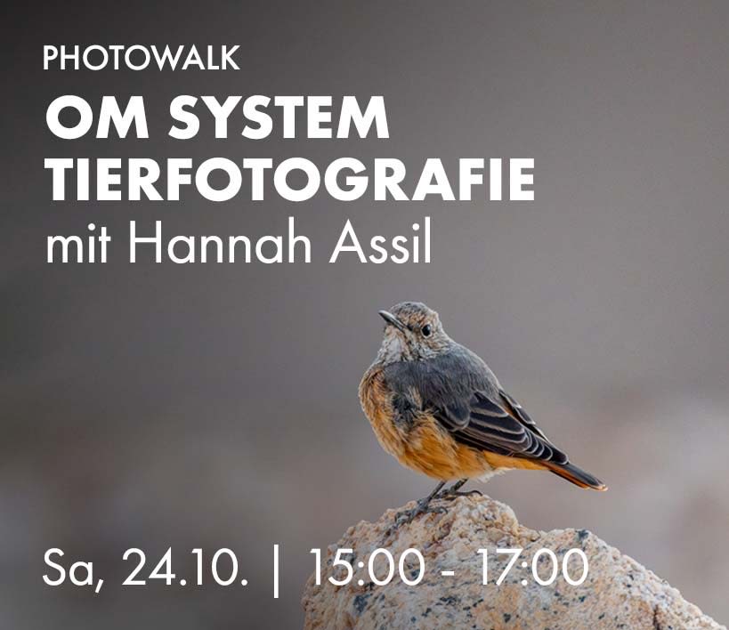 OM System Tierfotografie mit Hannah Assil, Sa, 24.10. 15:00 bis 17:00 Uhr