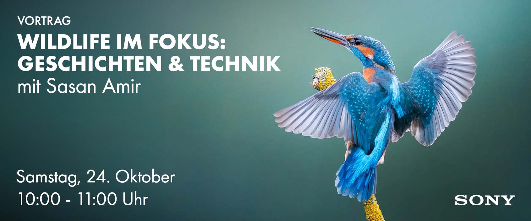Vortrag Wildlife im Fokus: Geschichten & Technik mit Sasan Amir, Sa, 24.10. 10:00 bis 11:00 Uhr
