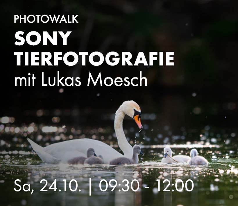Sony Tierfotografie mit Lukas Moesch, Sa, 24.10. 09:30 bis 12:00 Uhr